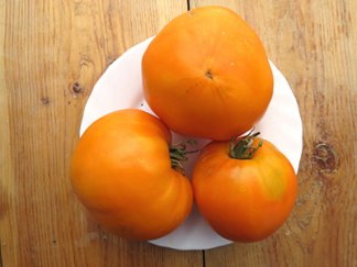 Томат Оранжевая клубника