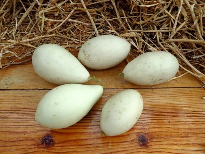 Тыква Фальшивое яйцо из Озарков