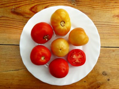 Лютесцент, Каменный томат